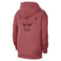 Chicago Bulls Jordan Statement Hoodie